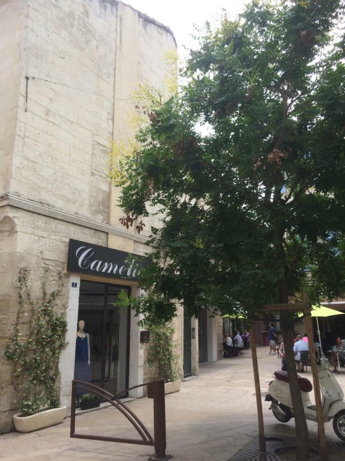 Apartament Nostradamus Saint-Rémy-de-Provence Zewnętrze zdjęcie